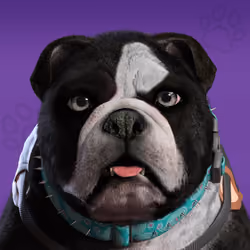 NFPet #978
