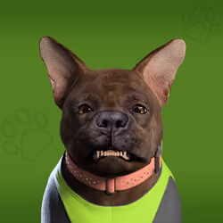 NFPet #1292