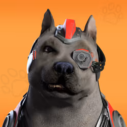 NFPet #1462