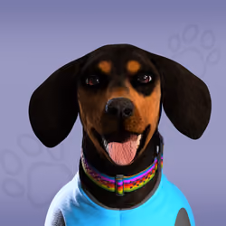 NFPet #4848