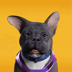 NFPet #1885