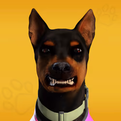 NFPet #6128