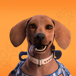 NFPet #7030