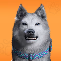 NFPet #8304