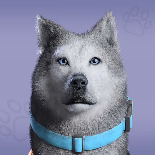 Nfpets Daz3d