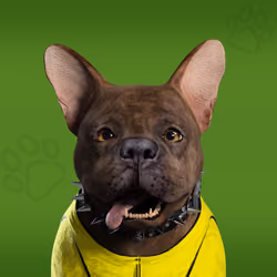 NFPet #4948