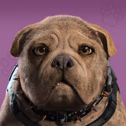 NFPet #5371