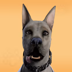 NFPet #6395