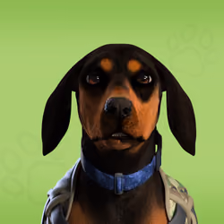 NFPet #3119