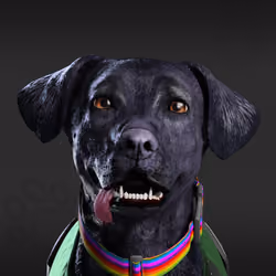 NFPet #3958