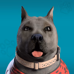 NFPet #2224