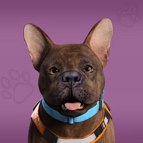 Nfpets Daz3d