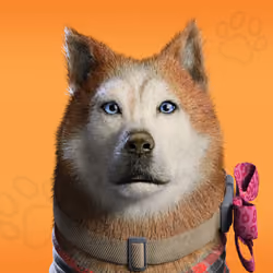 NFPet #3235