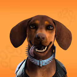 NFPet #3874