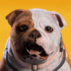 NFPet #8185