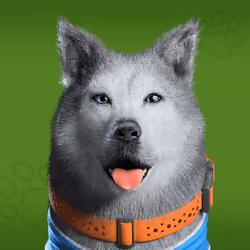 NFPet #3349
