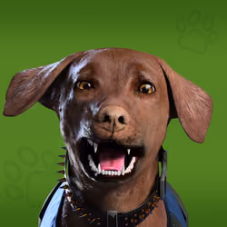 NFPet #9897