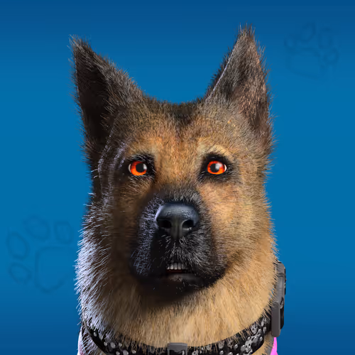NFPet #7960
