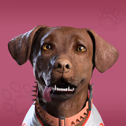 NFPet #4669