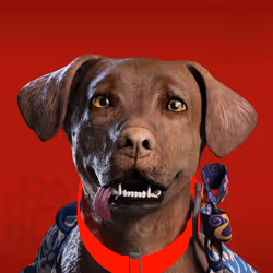 NFPet #2462