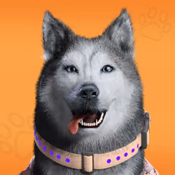 NFPet #5310