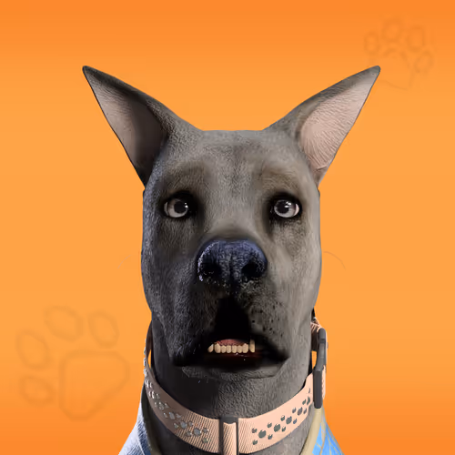Nfpets Daz3d