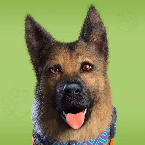 NFPet #6944