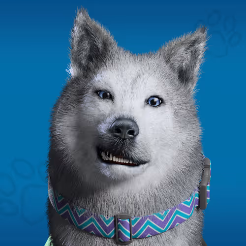 Nfpets Daz3d