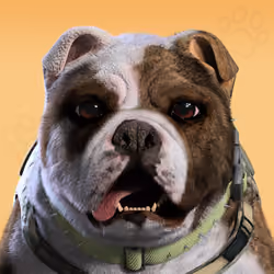 NFPet #4116