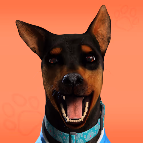 Nfpets Daz3d