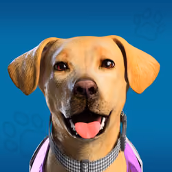 NFPet #4006
