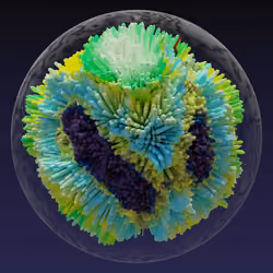 #2434