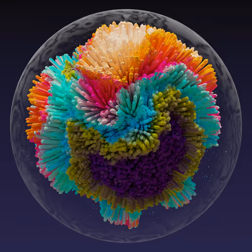 Asm Brains
