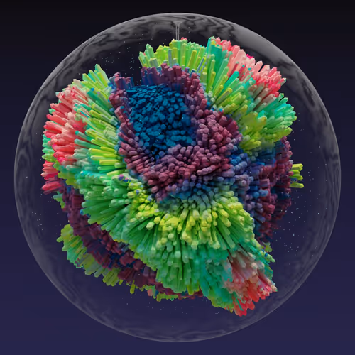 Asm Brains