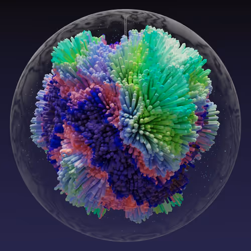 Asm Brains