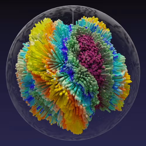 Asm Brains