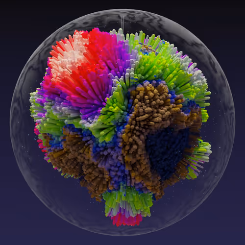 Asm Brains