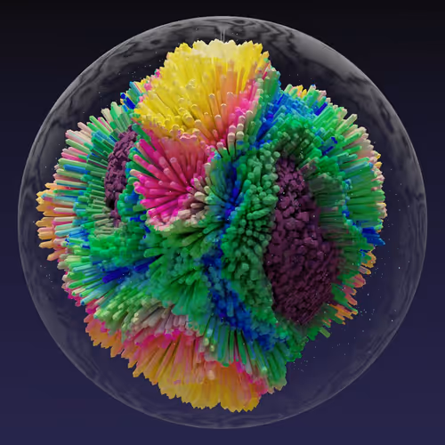 Asm Brains