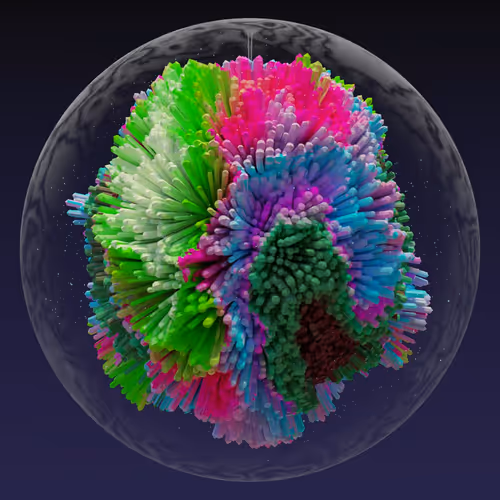 Asm Brains