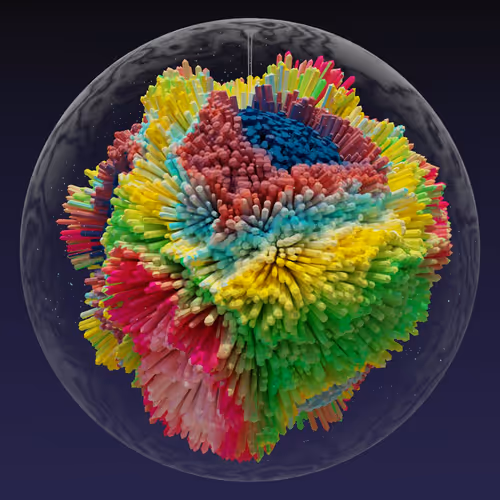Asm Brains