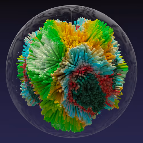 Asm Brains