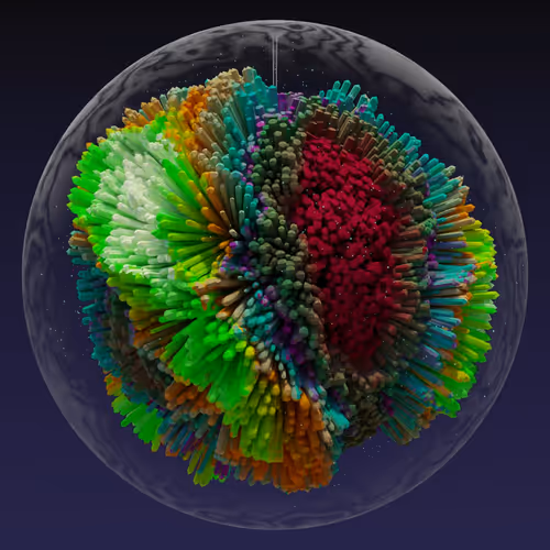 Asm Brains