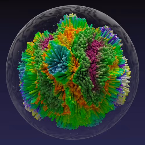 Asm Brains