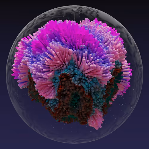 Asm Brains