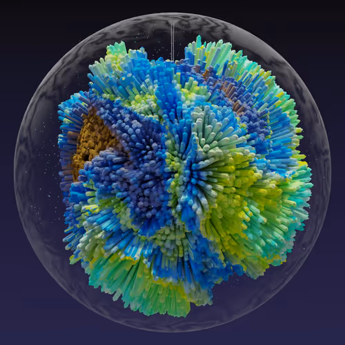 Asm Brains