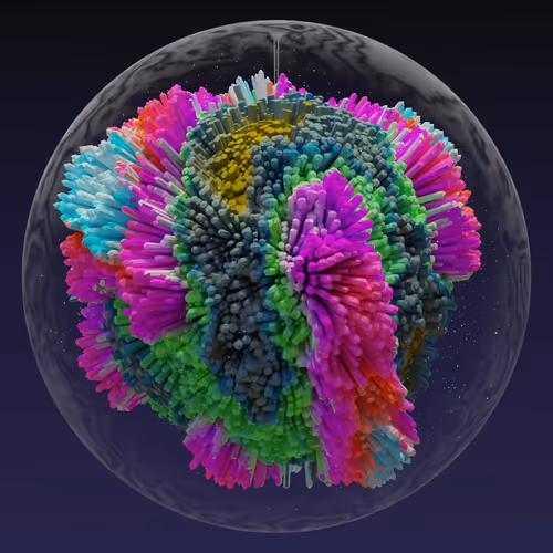 Asm Brains