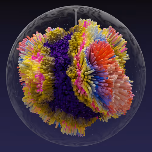 Asm Brains