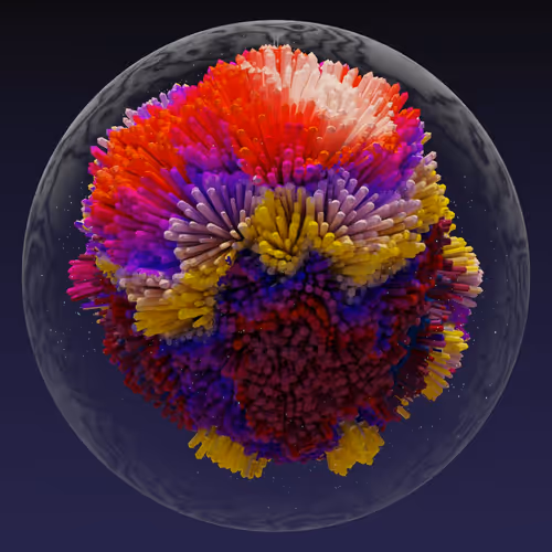 Asm Brains