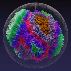 #149