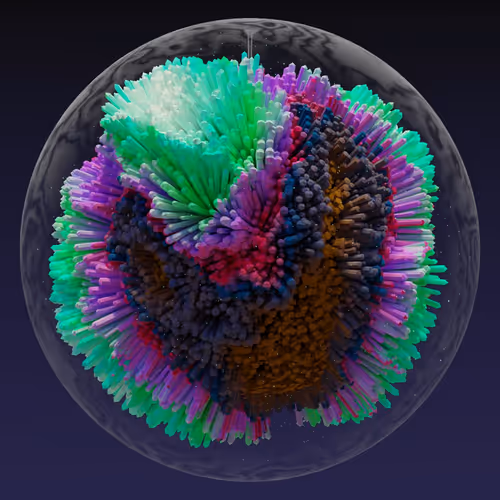Asm Brains